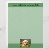 Austin das goldene Labrador Briefkopf (Vorne/Hinten)