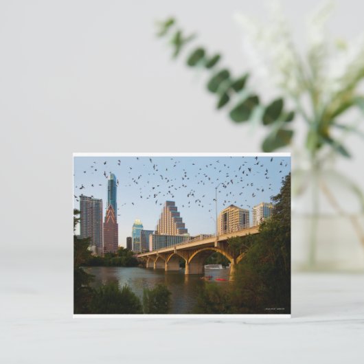 Austin, Texas Congress Bridge Bats Postkarte (Stehend Vorderseite)