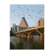 Austin, Texas Congress Bridge Bats