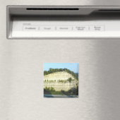 Austin Texas Magnet (In Situ (Geschirrspüler))