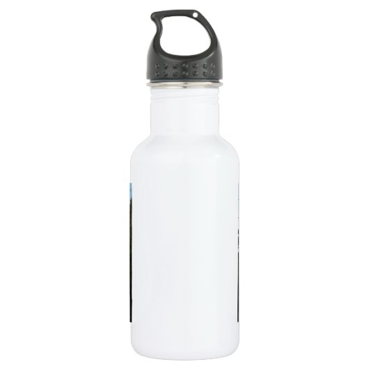 Austin, Texas mit Fledermäuse Edelstahlflasche (Rückseite)