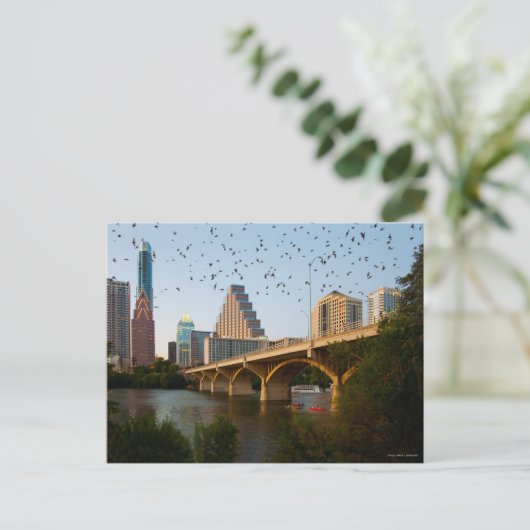 Austin, Texas mit Fledermäuse Postkarte (Stehend Vorderseite)