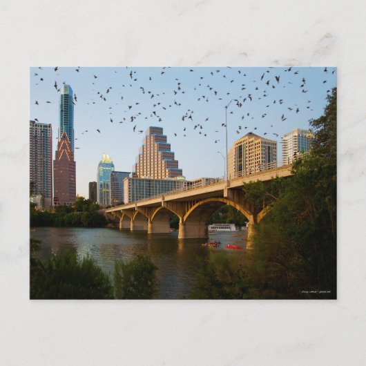Austin, Texas mit Fledermäuse Postkarte (Vorderseite)