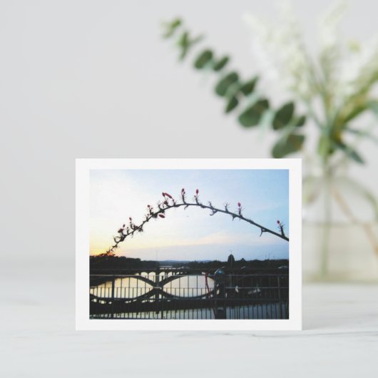 Austin Texas Postkarte (Stehend Vorderseite)