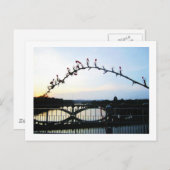 Austin Texas Postkarte (Vorne/Hinten)