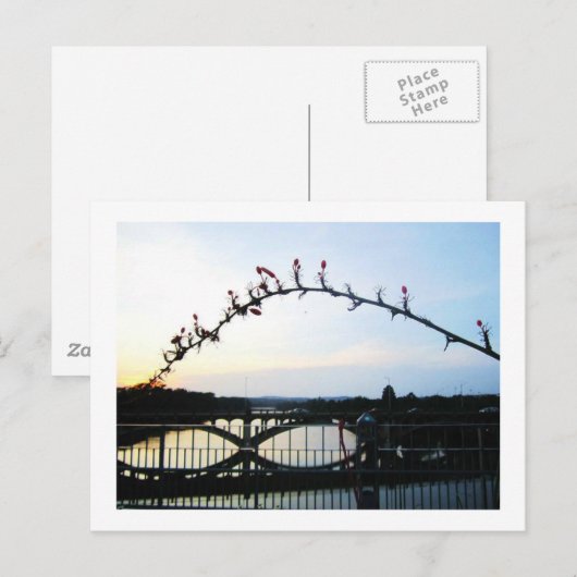 Austin Texas Postkarte (Vorne/Hinten)