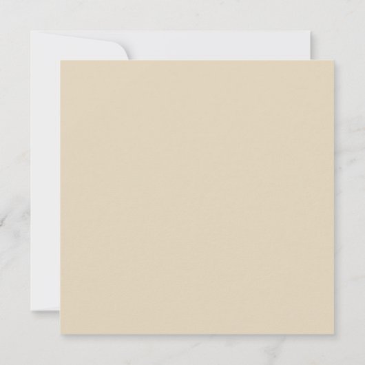 Austin Texas Skyline SG-Safari Buff Save The Date (Rückseite)