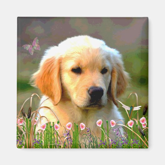 Austin The Golden Labrador Magnet (Vorne)