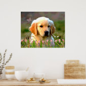 Austin The Golden Labrador Poster (Küche)
