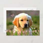 Austin The Golden Labrador Postkarte (Vorne/Hinten)