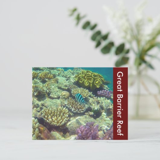 Austra Postkarte (Stehend Vorderseite)