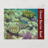 Austra Postkarte (Vorderseite)