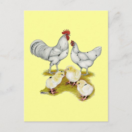 Austra White Family Postkarte (Vorderseite)