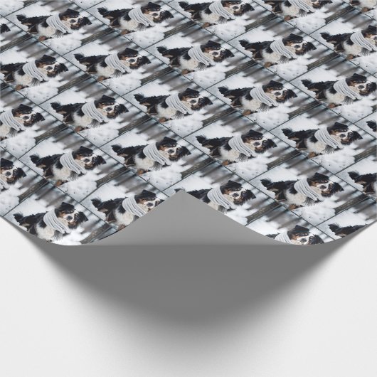 Austrailan Shepherd mit Winterskarf Geschenkpapier (Ecke)