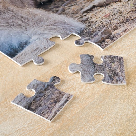 Austrailian Kangaroo Resting Puzzle (Seite)