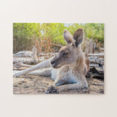 Austrailian Kangaroo Resting Puzzle (Horizontal)