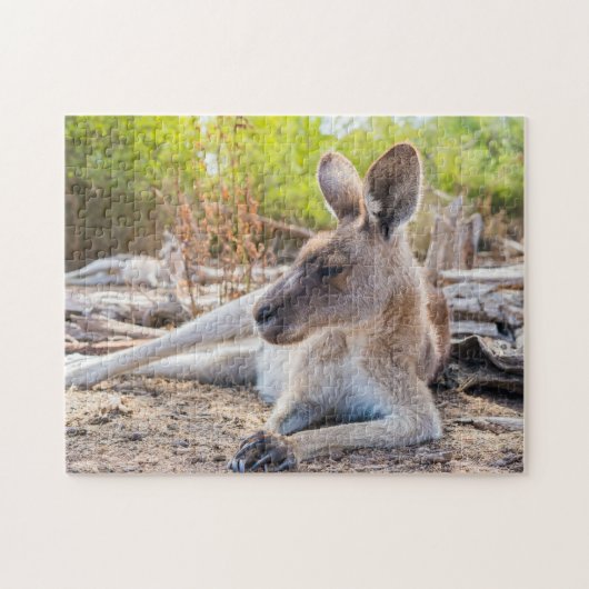 Austrailian Kangaroo Resting Puzzle (Horizontal)