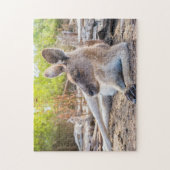 Austrailian Kangaroo Resting Puzzle (Vertikal)