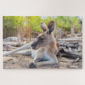 Austrailian Kangaroo Resting Puzzle (Horizontal)