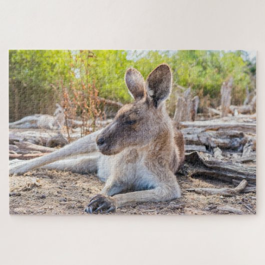Austrailian Kangaroo Resting Puzzle (Horizontal)