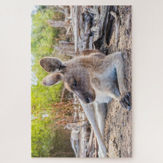 Austrailian Kangaroo Resting Puzzle (Vertikal)