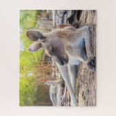 Austrailian Kangaroo Resting Puzzle (Vertikal)