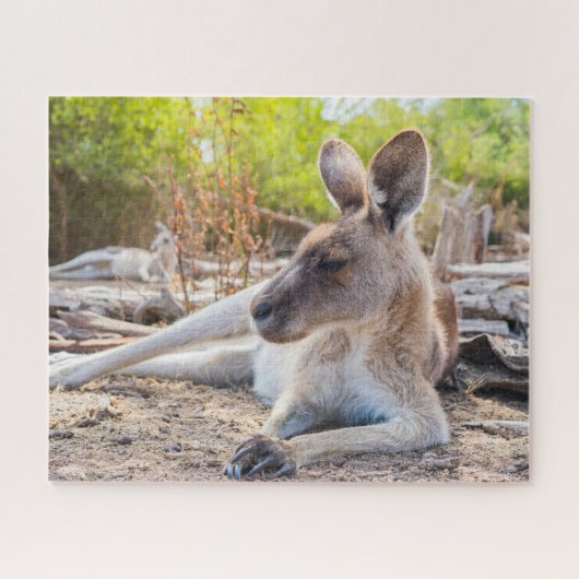 Austrailian Kangaroo Resting Puzzle (Horizontal)
