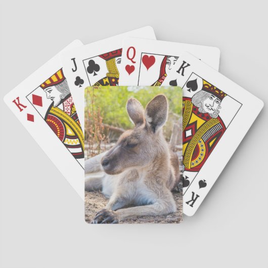 Austrailian Kangaroo Resting Spielkarten (Rückseite)