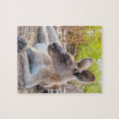 Austrailian KangarooStillstand Puzzle (Horizontal)