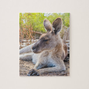 Austrailian KangarooStillstand Puzzle
