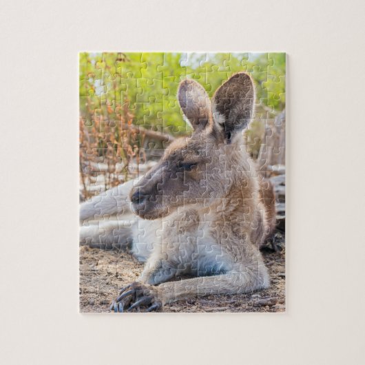 Austrailian KangarooStillstand Puzzle (Vertikal)