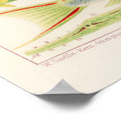 Australia, Great Barrier Reef vintage art poster (Ecke)