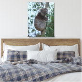 Australia Kangaroo Island Koala in a Tree Leinwanddruck (Insitu (Schlafzimmer))