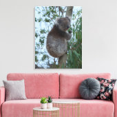 Australia Kangaroo Island Koala in a Tree Leinwanddruck (Insitu (Wohnzimmer))