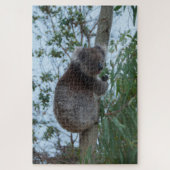 Australia Kangaroo Island Koala Tree, 1014 pieces Puzzle (Vertikal)