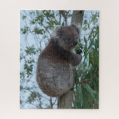 Australia Kangaroo Island Koala Tree, 520 pieces Puzzle (Vertikal)