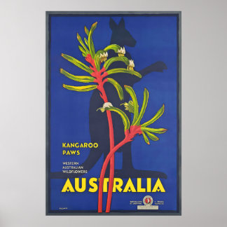 Australia Kangaroo Paws Vintage Travel Poster