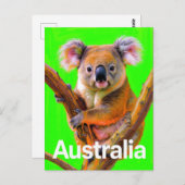 Australia Koala Bear Pop Art Postkarte (Vorne/Hinten)