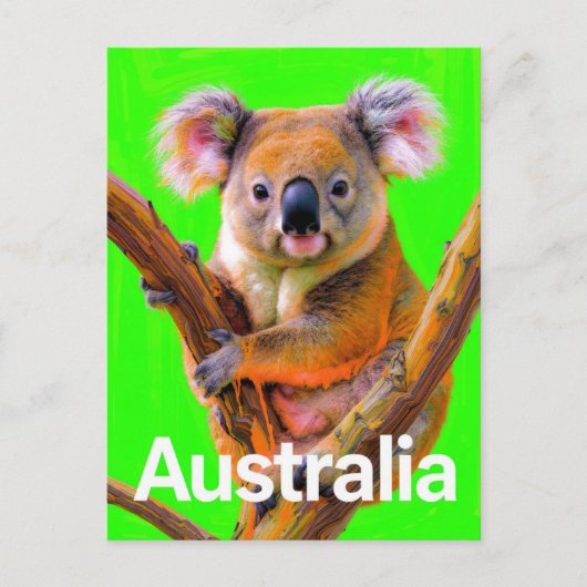 Australia Koala Bear Pop Art Postkarte (Vorderseite)