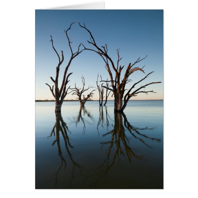 Australia, Murray River Valley, Barmera, Lake (Vorne)