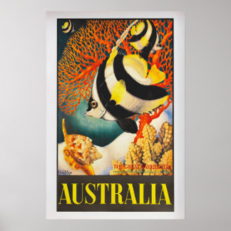 Australia, the Great Barrier Reef by Eileen Mayo Poster