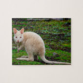 Australian Albino Kangaroo Puzzle (Horizontal)