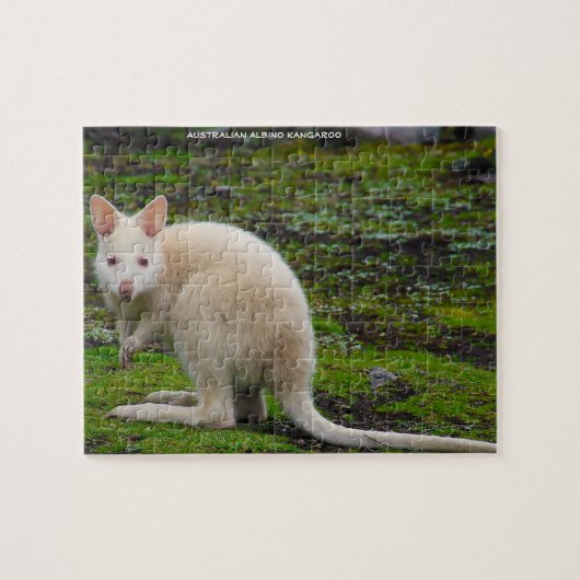Australian Albino Kangaroo Puzzle (Horizontal)