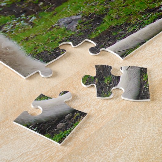 Australian Albino Kangaroo Puzzle (Seite)