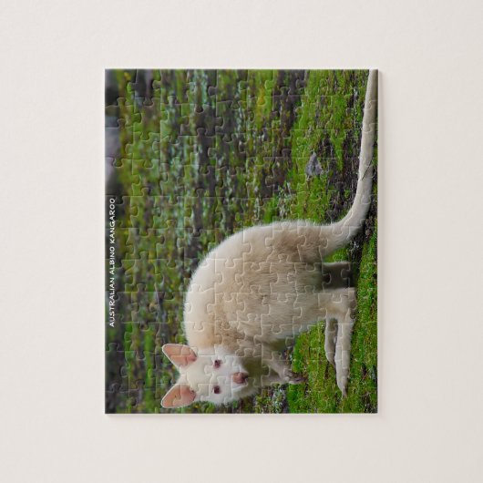 Australian Albino Kangaroo Puzzle (Vertikal)