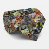 Australian Animals Foto Collage, Neck Tie Krawatte (Gerollt)