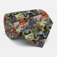 Australian Animals Foto Collage, Neck Tie