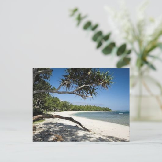 Australian Beach Postkarte (Stehend Vorderseite)