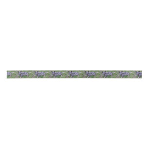 Australian_blue_cattle_dog_laying.png Satinband