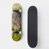 Australian Blue Tongue Stumpy Lizard, Skateboard (Vorderseite)
